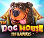 Dog House Megaways – automat slotowy z mechaniką Megaways w GGbet