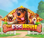 The Dog House – automat wideo od Pragmatic Play w kasynie GGbet